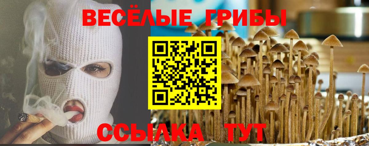 Лесной  Галлюциногенные грибы Psilocybe  закладки  Вход с VPN 